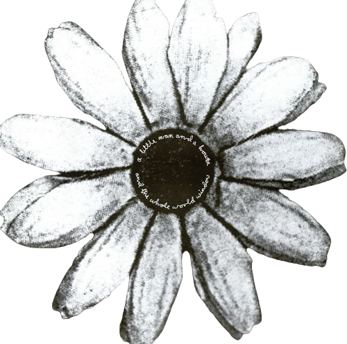 a flower depicting the album A Little Man in a House and the Whole World Window by the british progressive rock band Cardiacs